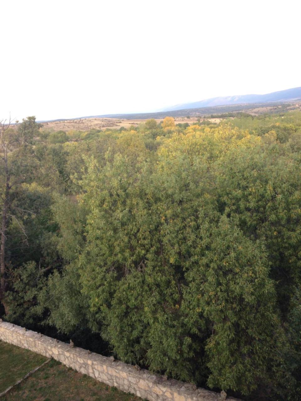 Apartamento Rural La Muralla De Pedraza Chavida Екстер'єр фото